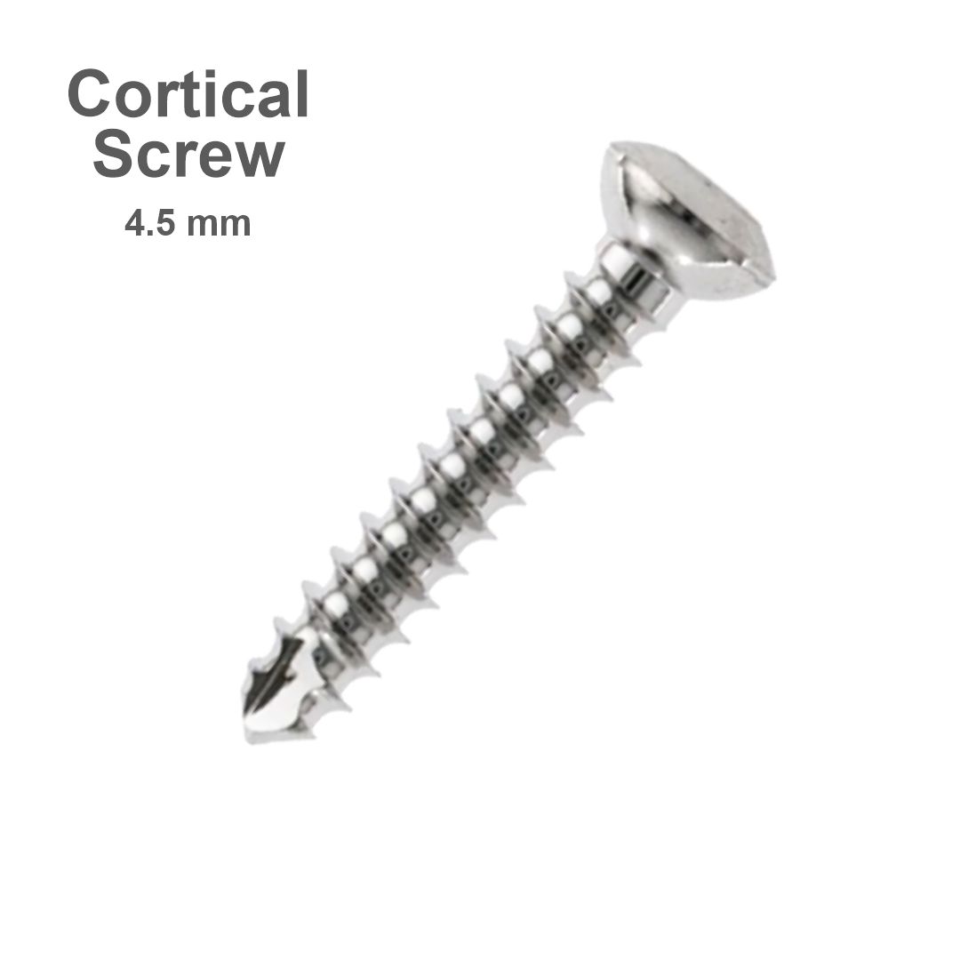 Screw for large fragment set 1