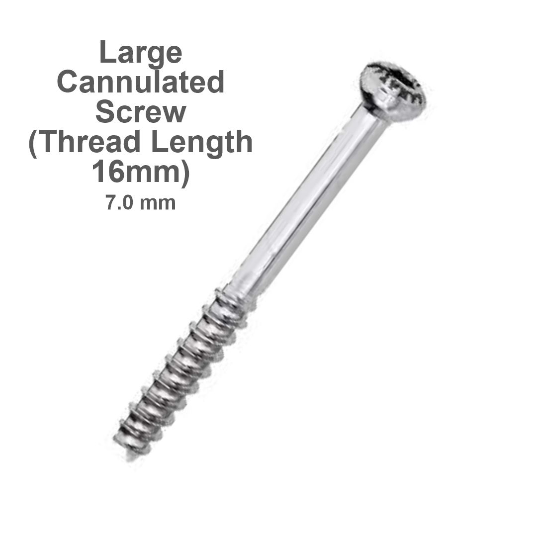 Screw for large fragment set 10