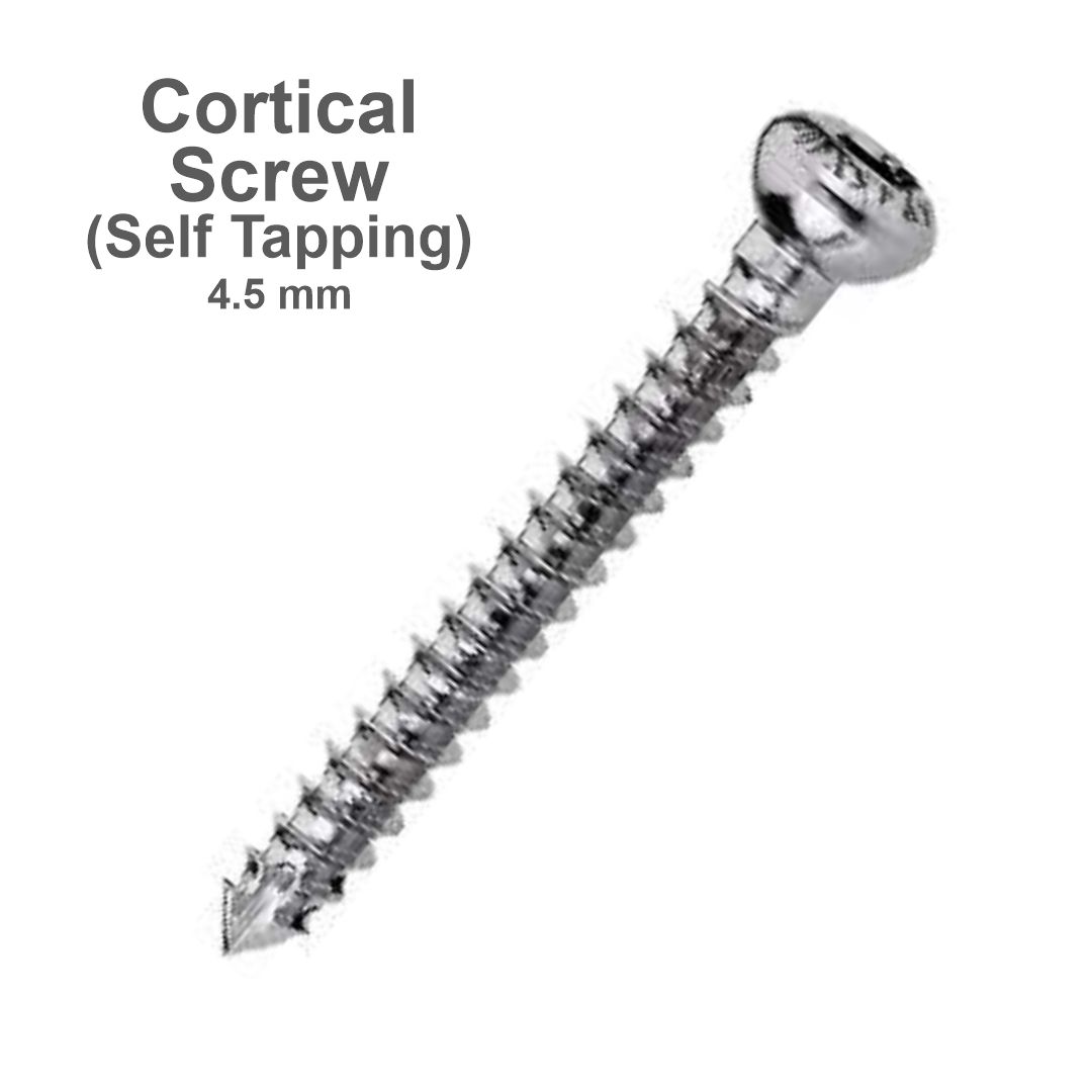 Screw for large fragment set 2