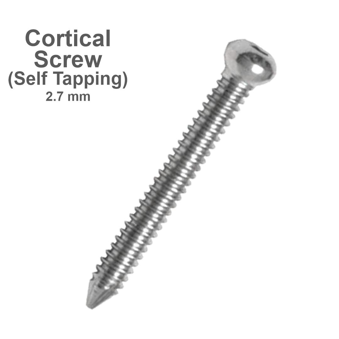 Screw for mini fregment set 2